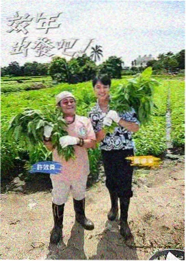 城市漫游者 旅行综艺在线观看封面